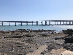 -星海湾跨海大桥