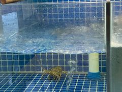 -面道赞宁海海鲜面(迎凤街店)