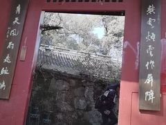 -杭州黄龙洞