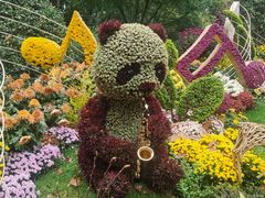 -杭州植物园