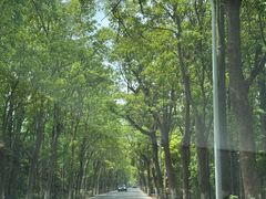 -昆山城市公园