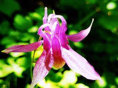 -白草畔自然风景区