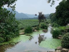 -中国茶叶博物馆(双峰馆区)