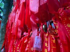 -杭州黄龙洞