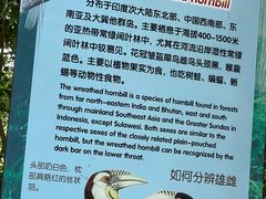 -广州长隆飞鸟乐园