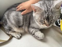 -小时光咖啡馆(北锣鼓巷店)