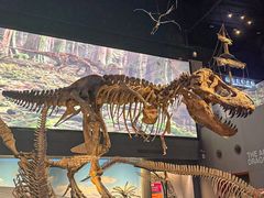 -贝林大翅鲸简餐厅(国家海洋博物馆店)