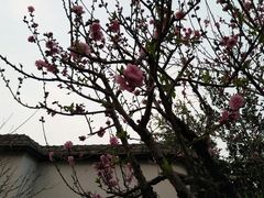 -乌山风景区