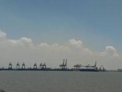 android_upload_pic-海鸥岛