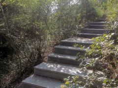 -水池山公园