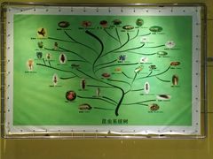 -上海昆虫博物馆