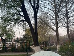 -睦南公园
