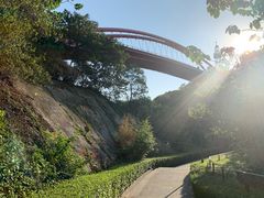 -金鸡山公园