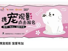 -首开·龙湖成都西宸天街