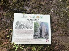 -江西龙虎山景区