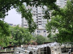 -成都市活水公园