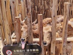 -白鹿原影视城