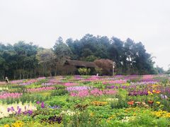 -保利石象湖景区