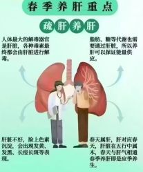 -薇薇安花系SPA