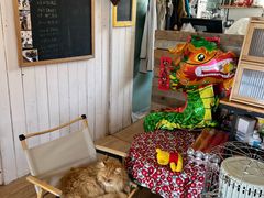 -小时光咖啡馆(开森度假森林店)