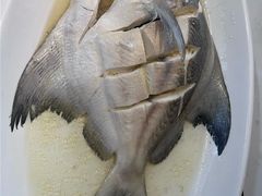 -满田家大排档(朝阳店)