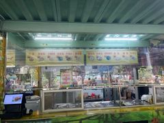 -泉州海丝野生动物世界