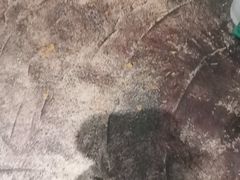 -今邕烧烤(西大店)