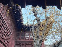 -水绘园