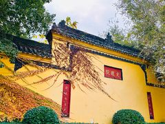 -成都市文殊院