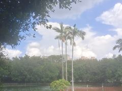 -荔湾湖公园