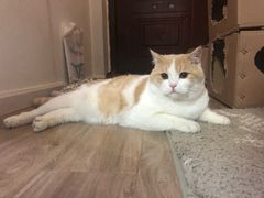 -达爱动物医院·犬猫分区·CT·复杂眼科(远洋山水分院)