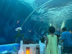 -海棠湾洲际-涛·海底餐厅·美人鱼·自助餐·海底隧道