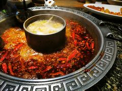 -杨肥肠火锅大排档(火车站花园店)