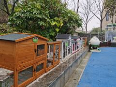 -上海崇明金茂凯悦酒店