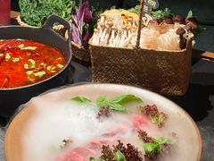 -大龙燚·旷野鲜火锅(广州首店)