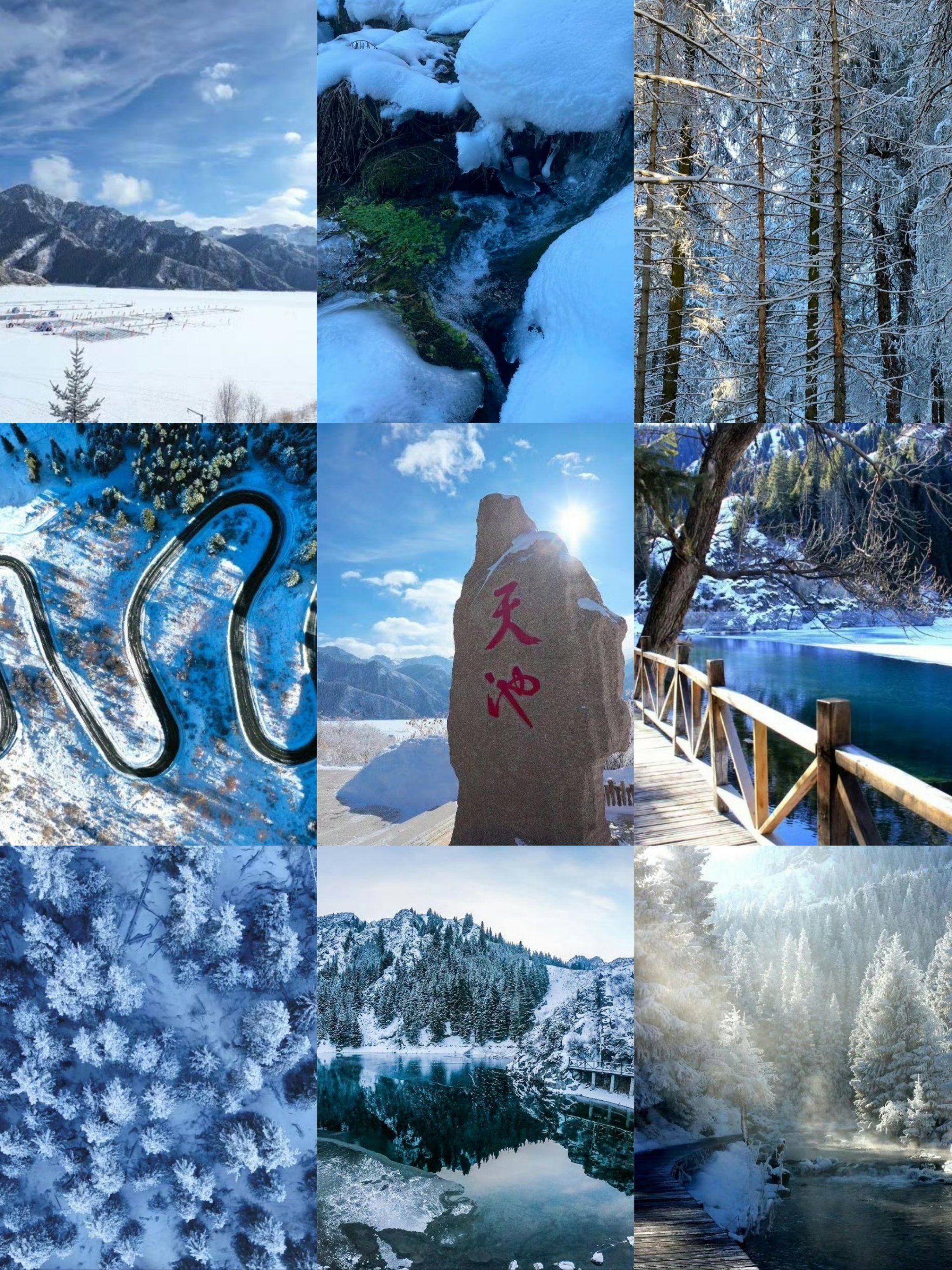 新疆天山天池海 新疆天山天池海