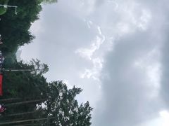 -黑龙江省森林植物园