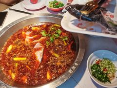 红锅锅底-蜀滋香鲜鱼美蛙火锅(339店)