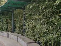 -丰台科技园生态主题公园