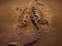 -世界恐龙谷景区