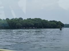 -西湖外事游船(花港观鱼码头)