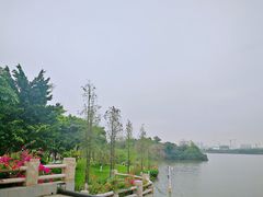 -海珠湖公园