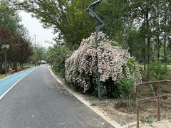 -老君堂公园
