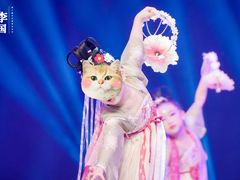 -朵拉舞蹈·少儿舞蹈·成人舞蹈(百花校区)