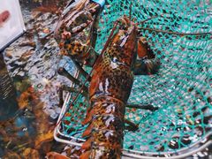 -盒马鲜生(大成店)