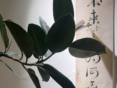 -本無咖啡·BeanWood Coffee