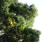 -上海神旺大酒店