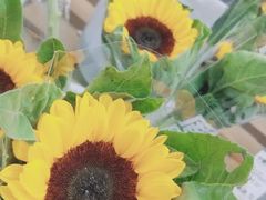 -鹿岛会员店 (龙湖三千集天街店)