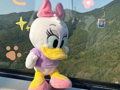 -昂坪360缆车