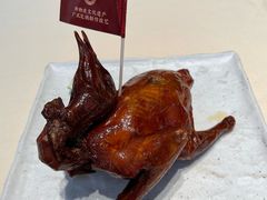 -侨美食家·粤菜(体育西路店)